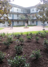 Tiger Manor - Interior Courtyard