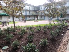 Tiger Manor - Interior Courtyard