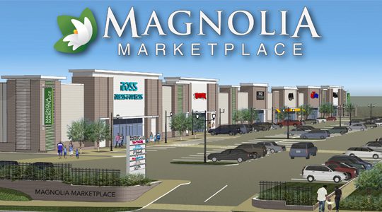 Magnolia Rendering