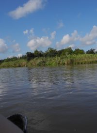 CCRE Boat Tour - October 2014