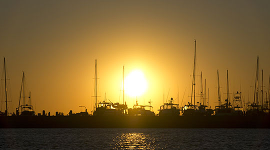 Gulf Coast Marina Alabama