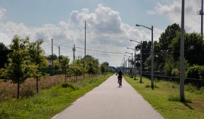 Lafitte Greenway Bike Path