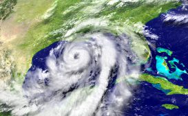 Hurricane Satellite