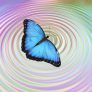 President’s Message: The Butterfly Effect